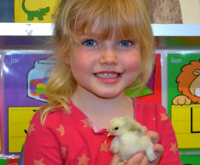 An Egg-Citing Opportunity for Junior Kindergarten Students at St. David